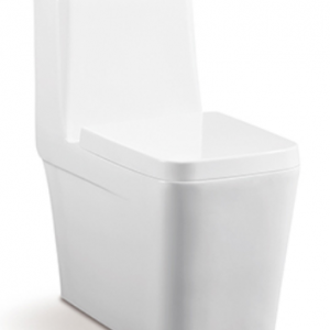 S-trap: 300/400mm 4D Siphonic one piece toilet