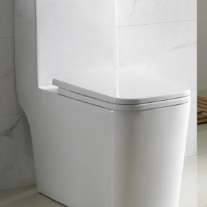 S-trap: 300/400mm Siphonic one piece toilet