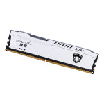 8G 1600 memory module