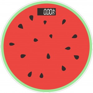 USB charging of human health scale