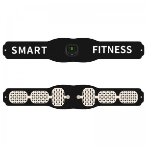 Fitness Ab Belt