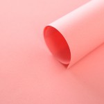 A4 color copy paper 70g [100 sheets]