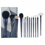 Cosmetic brush 13 piece suit